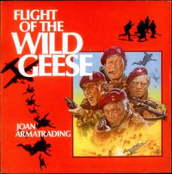 Joan Armatrading : Flight of the Wild Geese